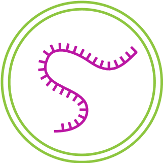 Nucleic Acid Therapy